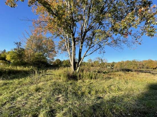 Commercial lot for sale in village of camden new york view of road frontage from NYS Route 69