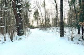 Serene Acreage Offering Endless Possibilities – 0 Oswego Rd.