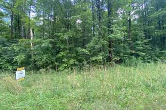 Prime Country Home or Cabin Building Lot – Tynan Rd. Cleveland, NY