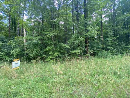 Prime Country Home or Cabin Building Lot – Tynan Rd. Cleveland, NY