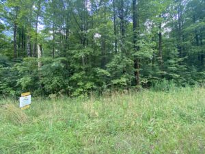 privated wooded property for sale in vienna new york