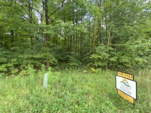 beautiful wooded property for sale by christmas country homes